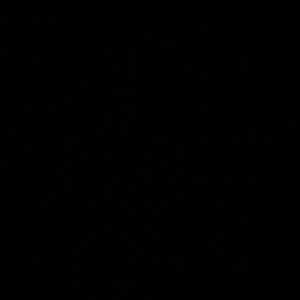 Meet your Posher,Danny